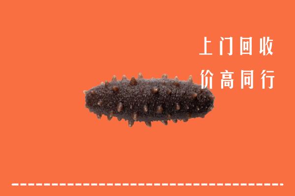 高价求购：吉林市蛟河市回收海参