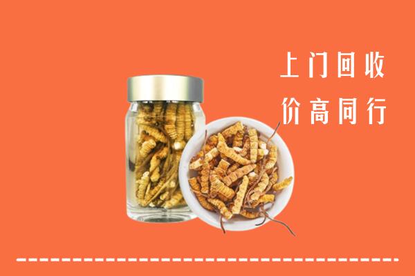 吉林市蛟河市回收冬虫夏草