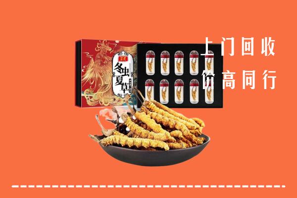 吉林市蛟河市回收虫草